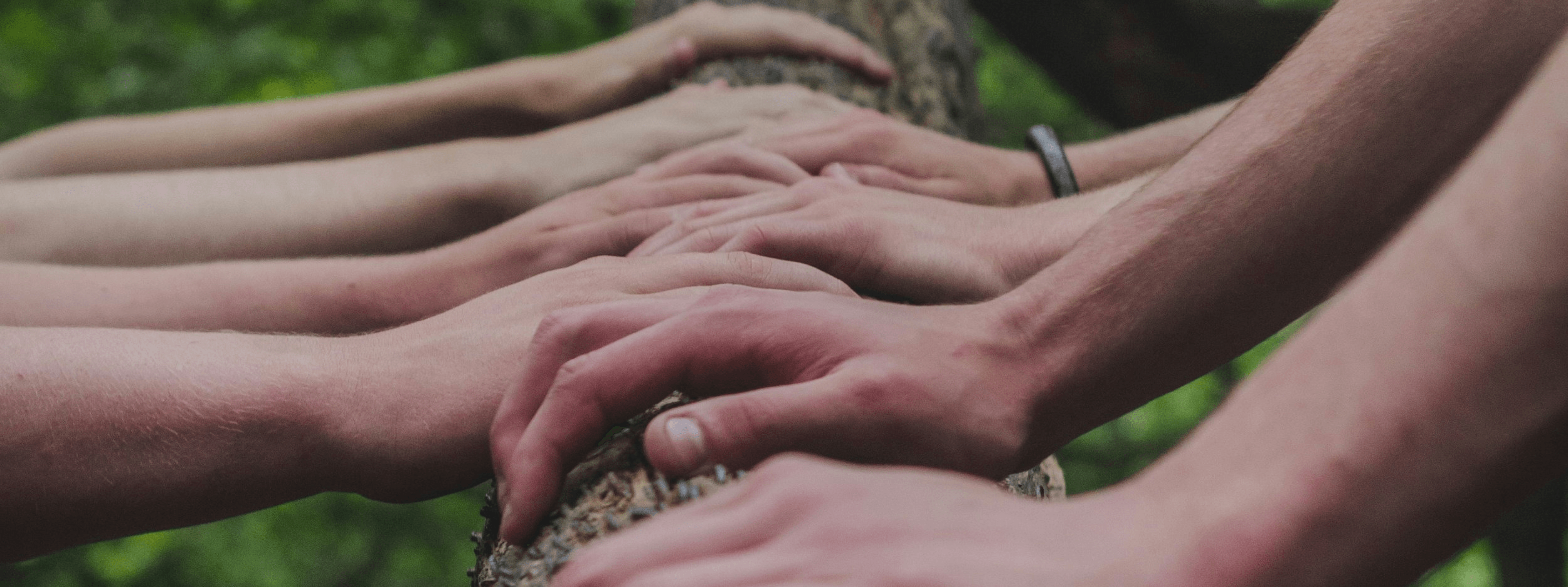 hands on tree